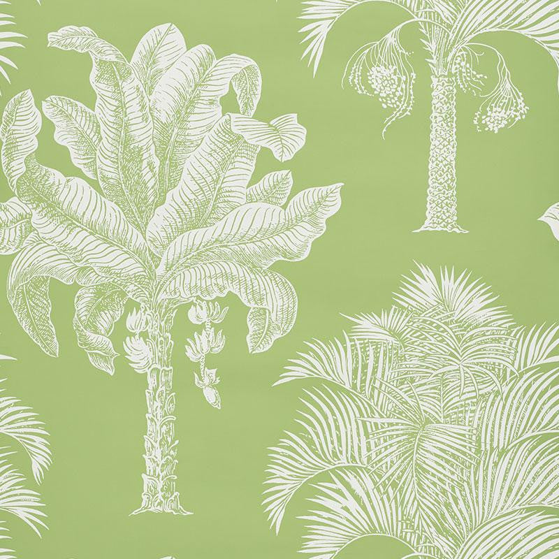Grand Palms Leaf 5009620 by Schumacher Designer Wallpaper New Traditional 27.0" - Swanky Fabrics -