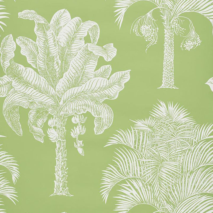 Grand Palms Leaf 5009620 by Schumacher Designer Wallpaper New Traditional 27.0" - Swanky Fabrics -