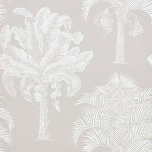 Schumacher Wallpaper Grand Palms Dove 5009622