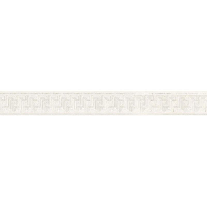 Labyrinth Tape Silver 66146 by Schumacher Designer Trim Mary Mcdonald 2.5" - Swanky Fabrics -