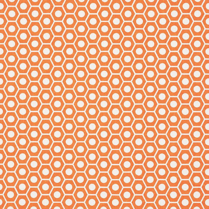 Queen B Orange 177073 by Schumacher Designer Fabric Studio Bon 1.25" - Swanky Fabrics -