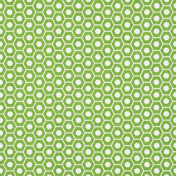 Queen B Green 177075 by Schumacher Designer Fabric Studio Bon 1.25" - Swanky Fabrics -