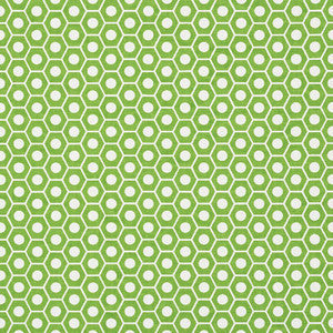 Schumacher Fabric Queen B Green 177075