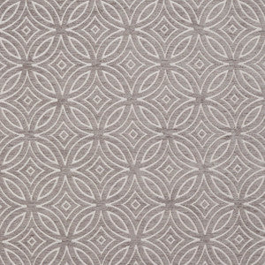 Charlotte Fabric 20810-01