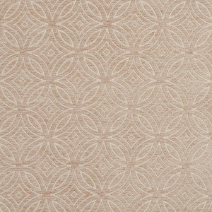 Charlotte Fabric 20810-03