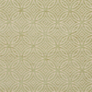 Charlotte Fabric 20810-06