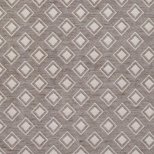 Charlotte Fabric 20840-01