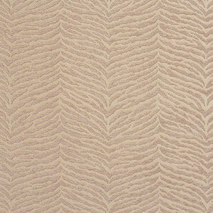 Charlotte Fabric 20870-03