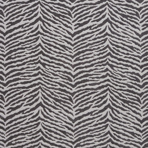 Charlotte Fabric 20870-05