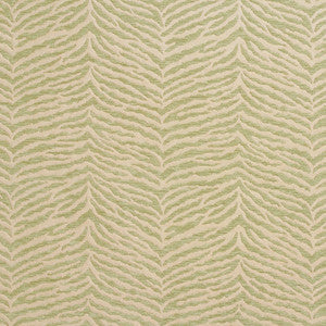 Charlotte Fabric 20870-06