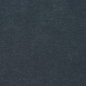 Charlotte Fabric 20900-02