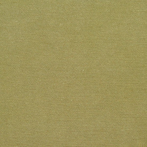 Charlotte Fabric 20900-03