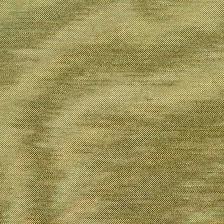 20900-03 by Charlotte Designer Fabric Embroidered Linens 44% Rayon, 30% Polyester, 26% Linen Asia Exceeds 120,000 Wyzenbeek Rubs (Heavy Duty) </p><p>Repeat: No Repeat 54 Inches - Swanky Fabrics -