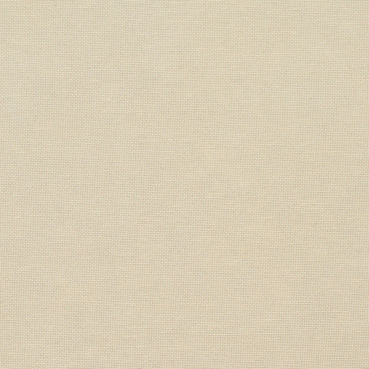20900-05 by Charlotte Designer Fabric Embroidered Linens 44% Rayon, 30% Polyester, 26% Linen Asia Exceeds 120,000 Wyzenbeek Rubs (Heavy Duty) </p><p>Repeat: No Repeat 54 Inches - Swanky Fabrics -