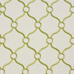 Charlotte Fabric 20910-10
