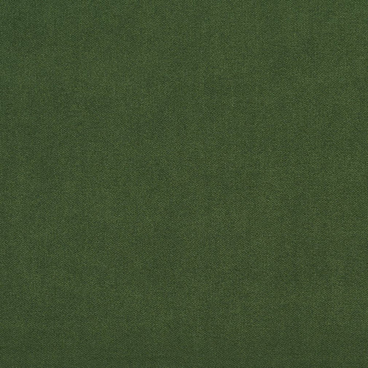 20940-04 by Charlotte Designer Fabric Crypton Woven Velvet 100% Woven Polyester Made In USA Exceeds 200,000 Wyzenbeek Rubs (Heavy Duty) No Repeat 54 Inches - Swanky Fabrics -