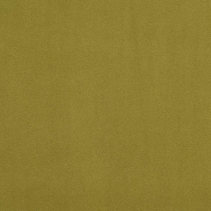 20940-08 by Charlotte Designer Fabric Crypton Woven Velvet 100% Woven Polyester Made In USA Exceeds 200,000 Wyzenbeek Rubs (Heavy Duty) No Repeat 54 Inches - Swanky Fabrics -