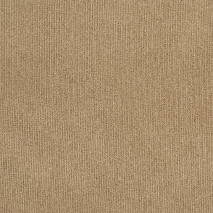 20940-14 by Charlotte Designer Fabric Crypton Woven Velvet 100% Woven Polyester Made In USA Exceeds 200,000 Wyzenbeek Rubs (Heavy Duty) No Repeat 54 Inches - Swanky Fabrics -