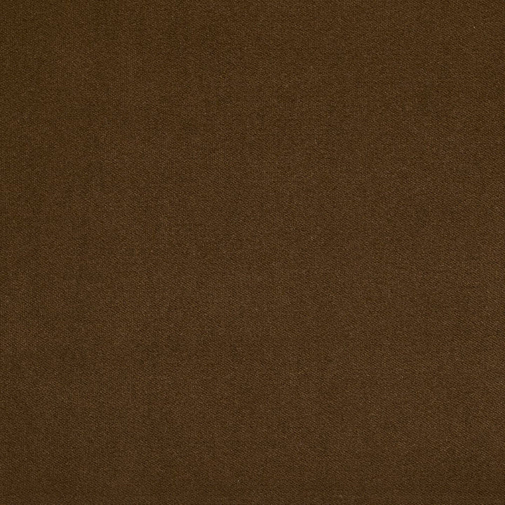 20940-16 by Charlotte Designer Fabric Crypton Woven Velvet 100% Woven Polyester Made In USA Exceeds 200,000 Wyzenbeek Rubs (Heavy Duty) No Repeat 54 Inches - Swanky Fabrics -