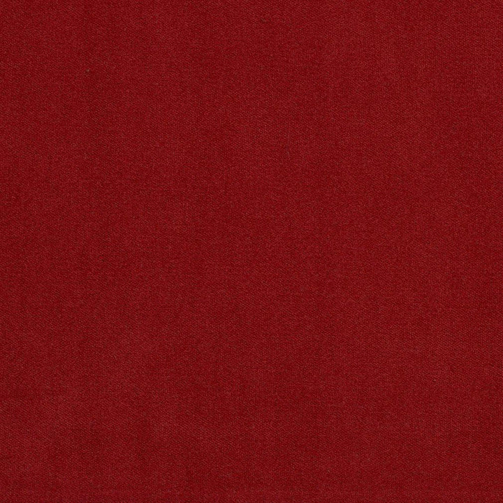 20940-18 by Charlotte Designer Fabric Crypton Woven Velvet 100% Woven Polyester Made In USA Exceeds 200,000 Wyzenbeek Rubs (Heavy Duty) No Repeat 54 Inches - Swanky Fabrics -