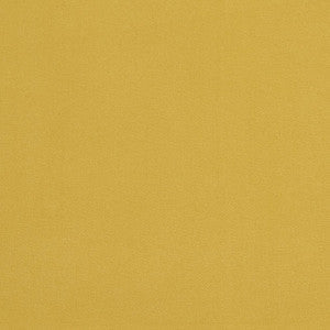 Charlotte Fabric 20940-19