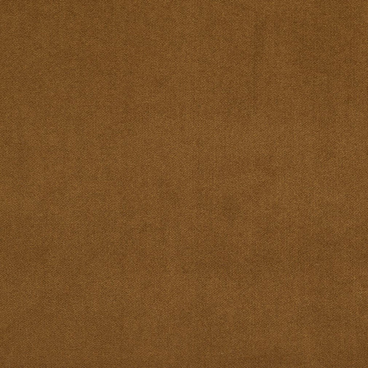 20940-21 by Charlotte Designer Fabric Crypton Woven Velvet 100% Woven Polyester Made In USA Exceeds 200,000 Wyzenbeek Rubs (Heavy Duty) No Repeat 54 Inches - Swanky Fabrics -