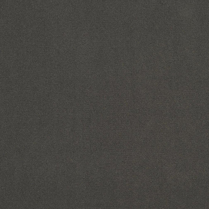 20940-22 by Charlotte Designer Fabric Crypton Woven Velvet 100% Woven Polyester Made In USA Exceeds 200,000 Wyzenbeek Rubs (Heavy Duty) No Repeat 54 Inches - Swanky Fabrics -
