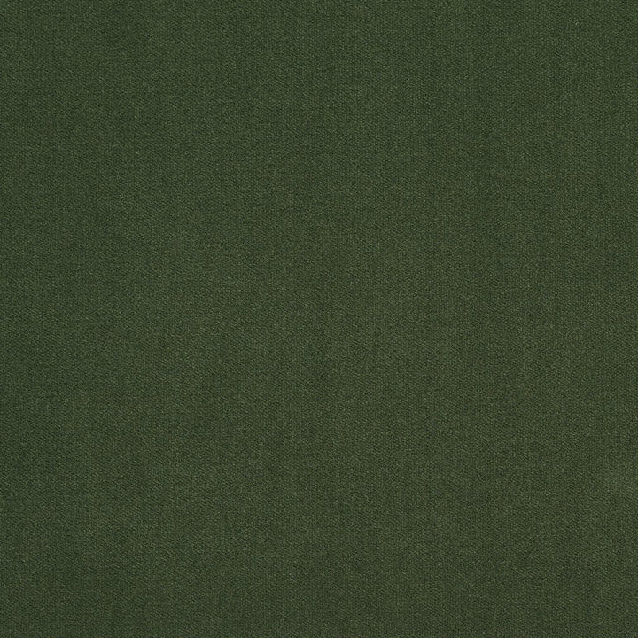 20940-25 by Charlotte Designer Fabric Crypton Woven Velvet 100% Woven Polyester Made In USA Exceeds 200,000 Wyzenbeek Rubs (Heavy Duty) No Repeat 54 Inches - Swanky Fabrics -