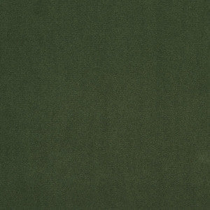 Charlotte Fabric 20940-25