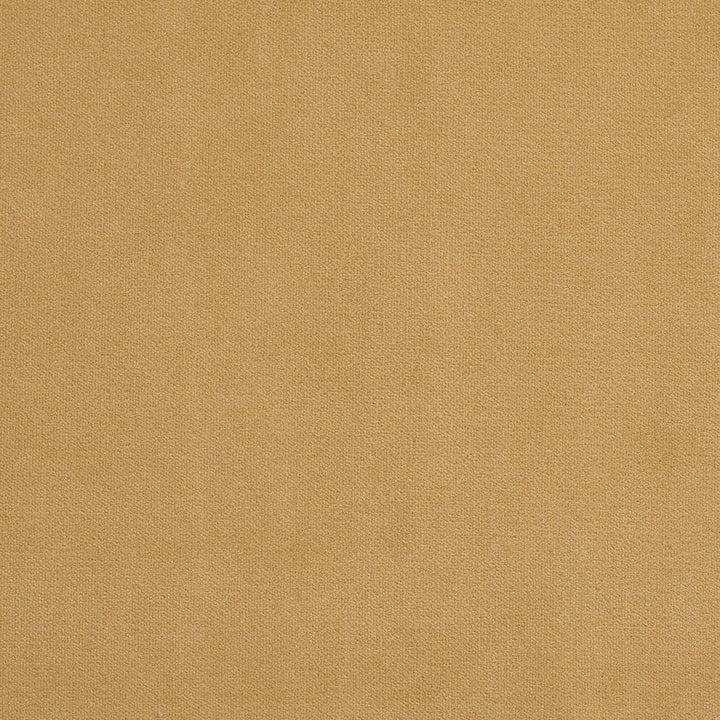20940-26 by Charlotte Designer Fabric Crypton Woven Velvet 100% Woven Polyester Made In USA Exceeds 200,000 Wyzenbeek Rubs (Heavy Duty) No Repeat 54 Inches - Swanky Fabrics -