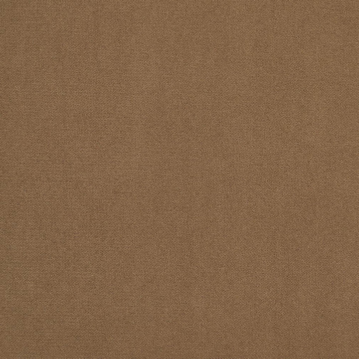 20940-35 by Charlotte Designer Fabric Crypton Woven Velvet 100% Woven Polyester Made In USA Exceeds 200,000 Wyzenbeek Rubs (Heavy Duty) No Repeat 54 Inches - Swanky Fabrics -