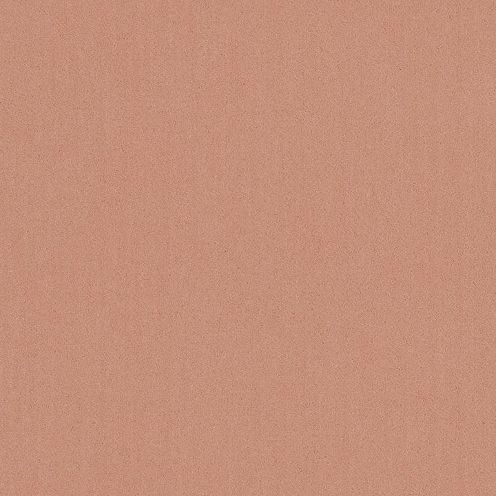 20950-09 by Charlotte Designer Fabric Faux Mohair 100% Woven Polyester Mohair Asia Exceeds 100,000 Wyzenbeek Rubs (Heavy Duty) No Repeat 54 Inches - Swanky Fabrics -