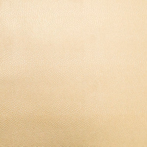 Europatex Fabric Pioneer 20