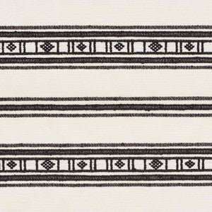 Schumacher Fabric Buena Vista Black 74481