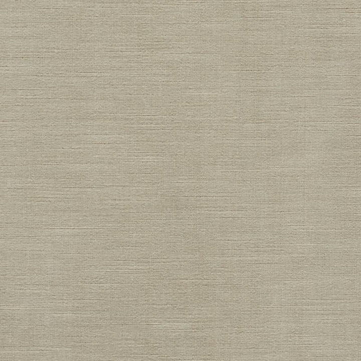 Antique Linen Velvet Ii Stone 75705 by Schumacher Designer Fabric Perfect Basics: Velvet - Swanky Fabrics -