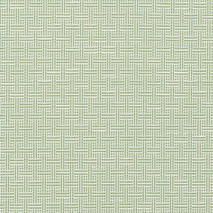 Brickell Indoor/Outdoor Leaf 75931 by Schumacher Designer Fabric Indoor/Outdoor: Prints & Wovens 1.0" - Swanky Fabrics -