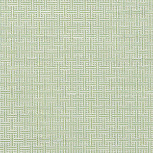 Schumacher Fabric Brickell Indoor/Outdoor Leaf 75931