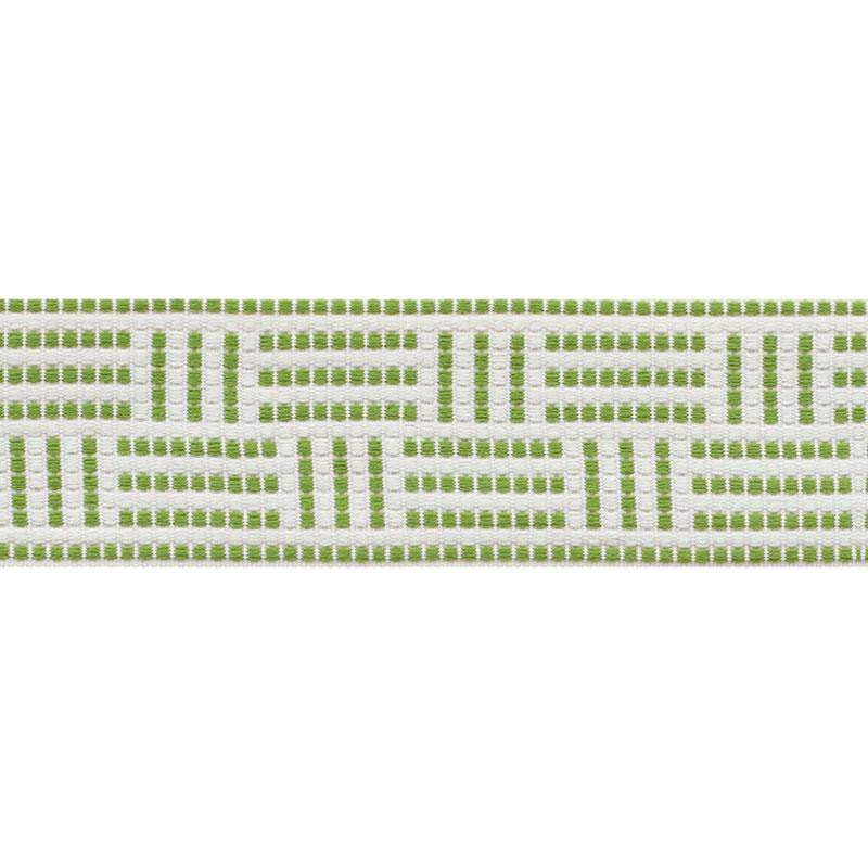 Brickell Tape Indoor/Outdoor Leaf 75961 by Schumacher Designer Trim Indoor/Outdoor: Prints & Wovens 2.5" - Swanky Fabrics -