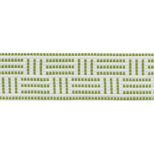 Schumacher Trim Brickell Tape Indoor/Outdoor Leaf 75961