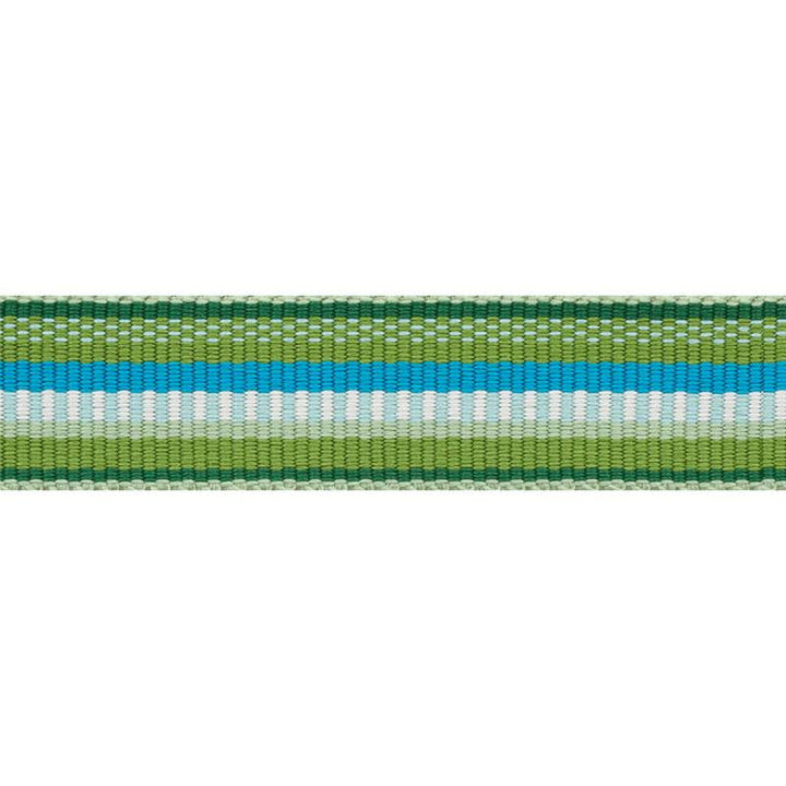 Primavera Tape Narrow Meadow 75980 by Schumacher Designer Trim Indoor/Outdoor Prints & Wovens Iii - Swanky Fabrics -