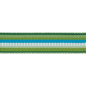 Schumacher Trim Primavera Tape Narrow Meadow 75980