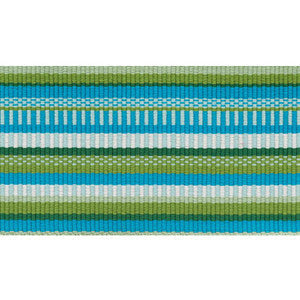 Schumacher Trim Primavera Tape Wide Meadow 75990