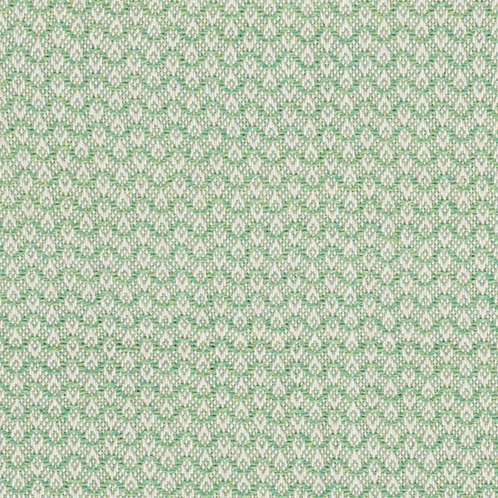 Crosby Leaf 76151 by Schumacher Designer Fabric Free Spirit 5.5" - Swanky Fabrics -