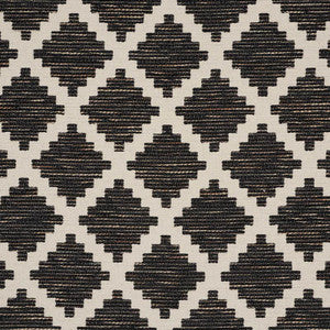 Schumacher Fabric Tibur Black 76540