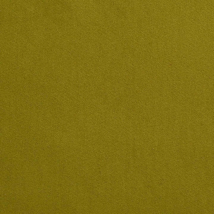 2208 Spring by Charlotte Designer Fabric Microfiber 100% Woven Polyester Asia Exceeds 100,000 Wyzenbeek Rubs (Heavy Duty) No Repeat 54 Inches - Swanky Fabrics -