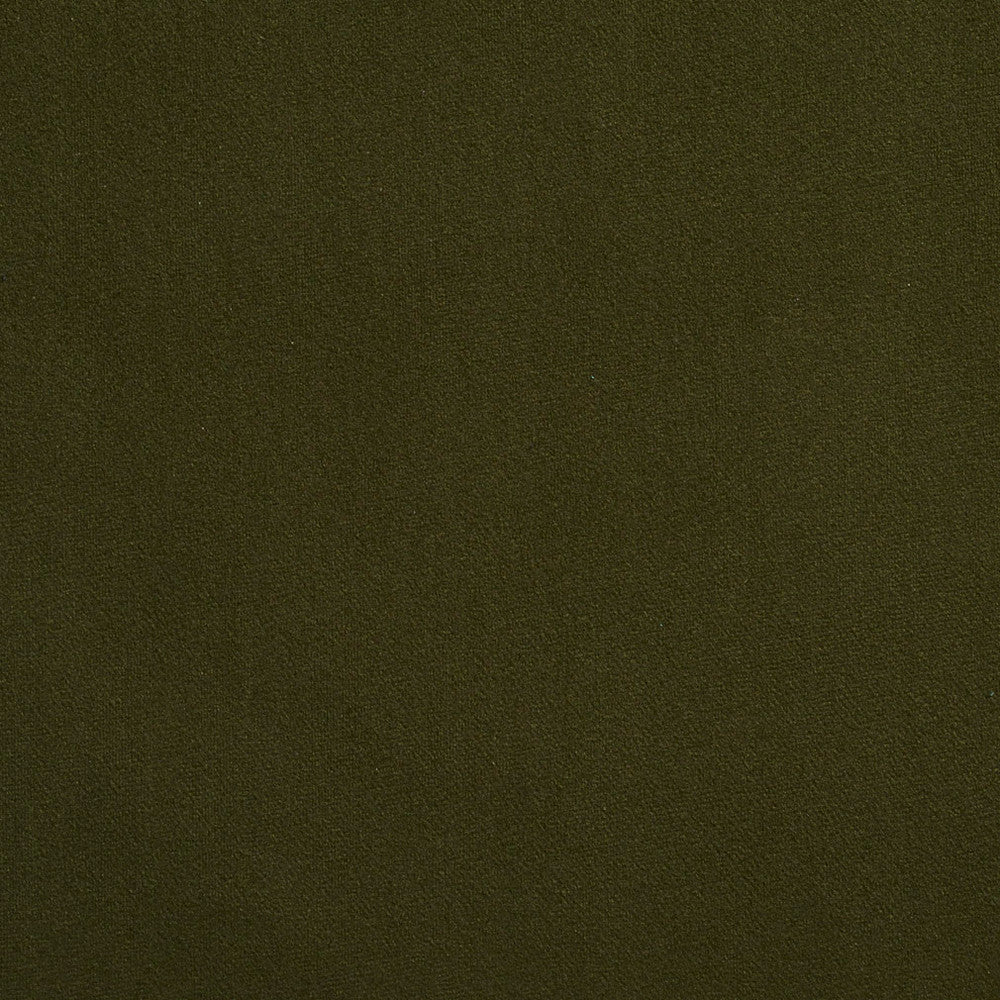 2215 Forest by Charlotte Designer Fabric Microfiber 100% Woven Polyester Asia Exceeds 100,000 Wyzenbeek Rubs (Heavy Duty) No Repeat 54 Inches - Swanky Fabrics -