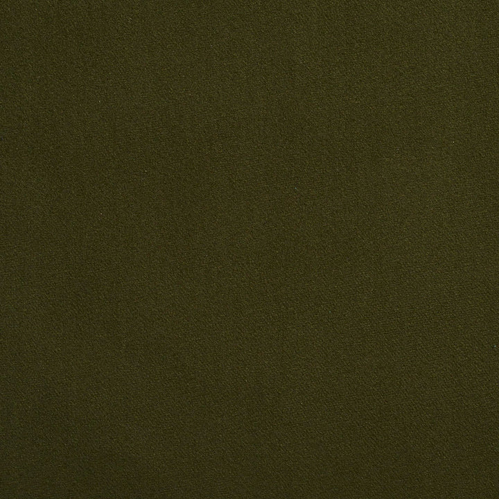 2215 Forest by Charlotte Designer Fabric Microfiber 100% Woven Polyester Asia Exceeds 100,000 Wyzenbeek Rubs (Heavy Duty) No Repeat 54 Inches - Swanky Fabrics -