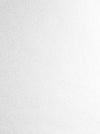 Etten Gallerie Wallpaper Mica Texture Pearl Glitter 2231600
