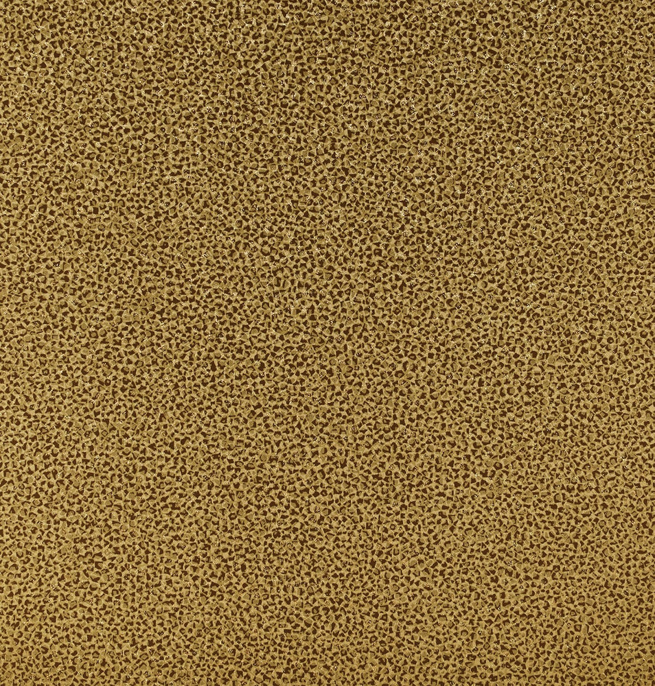 Mica Texture Antique Gold 2231605 by Etten Gallerie Designer Wallpaper