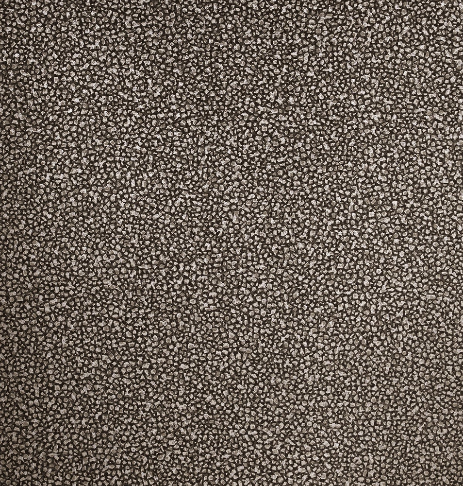 Mica Texture Coal & Silver Glitter 2231610 by Etten Gallerie Designer Wallpaper